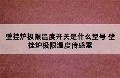 壁挂炉极限温度开关是什么型号 壁挂炉极限温度传感器